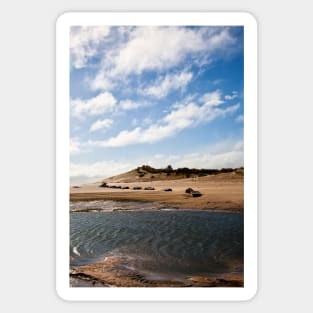 The Sand Dunes at Alnmouth Sticker